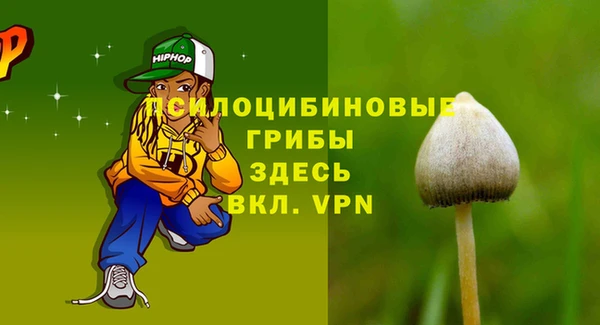 индика Остров