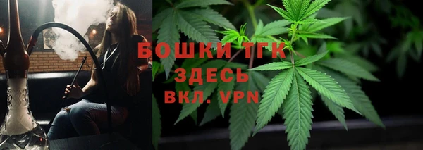 индика Остров