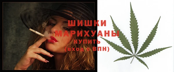 apvp Осинники