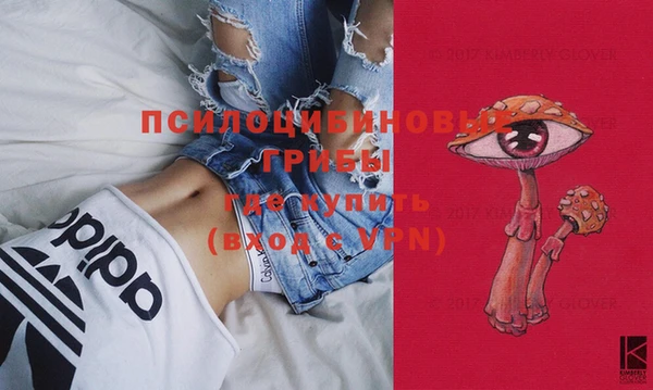 индика Остров