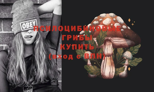 индика Остров