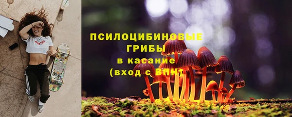 индика Остров