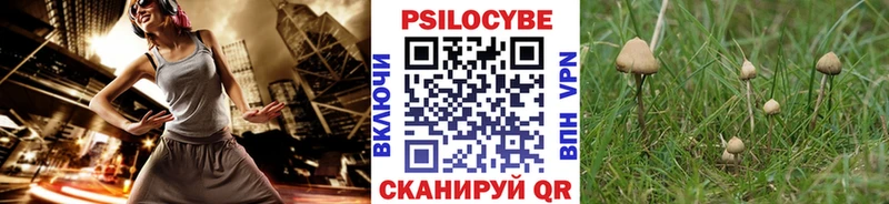 маркетплейс официальный сайт  Струнино  Псилоцибиновые грибы Cubensis 